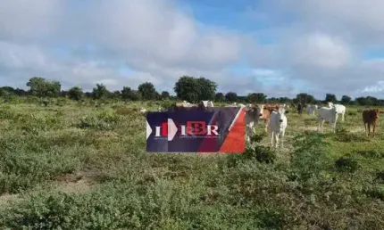Fazenda à venda na Zona Rural, Ribas do Rio Pardo 