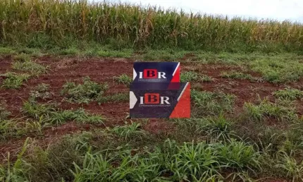 Fazenda à venda na Zona Rural, Dois Irmãos do Buriti 