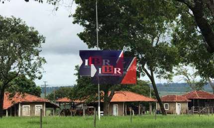 Fazenda à venda na Zona Rural, Ribas do Rio Pardo 