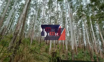 Fazenda à venda na Rua Alziro Zarur, Vivendas das Fontes, Juiz de Fora
