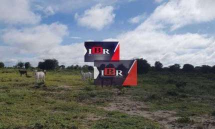 Fazenda à venda na Travessa Cristo Rei, Zona Rural, Campo Grande