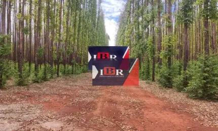 Fazenda à venda na Zona Rural, Bonito de Minas 