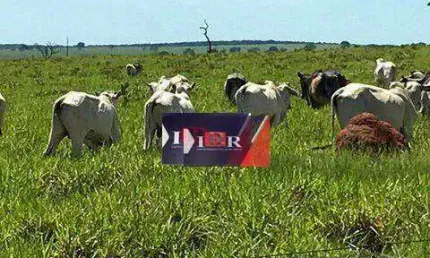 Fazenda à venda na Zona Rural, Água Clara 