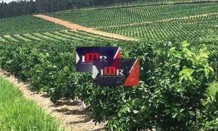 Fazenda à venda na Área Rural, Área Rural de Avaré, Avaré
