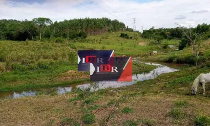 Fazenda à venda na Área Rural, Alferes Rodrigues, Amparo