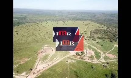 Fazenda à venda na Zona Rural, Tesouro 