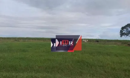 Fazenda à venda na Avenida Quarta, Área Rural de Mineiros, Mineiros