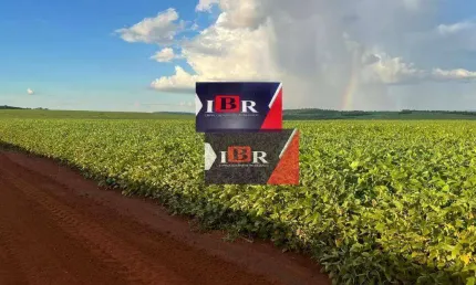 Fazenda à venda no Centro, Antônio João 