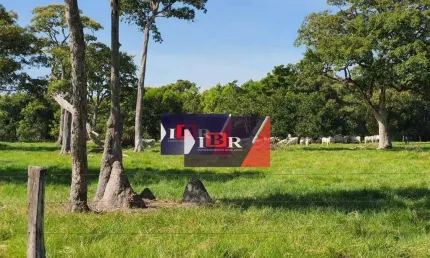 Fazenda à venda na Zona Rural, Santo Antônio do Leverger 