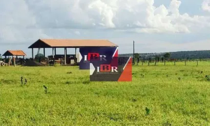 Fazenda à venda na Rua Druris, Zona Rural, Campo Grande