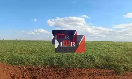 Fazenda à venda na Zona Rural, Jaciara 