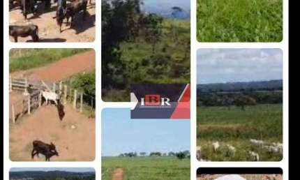 Fazenda à venda na Zona Rural, Rio Negro 