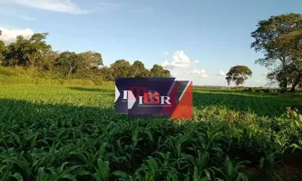 Chácara / sítio à venda na Zona Rural, Terenos 