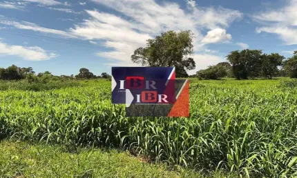 Fazenda à venda na Zona Rural, Ribas do Rio Pardo 