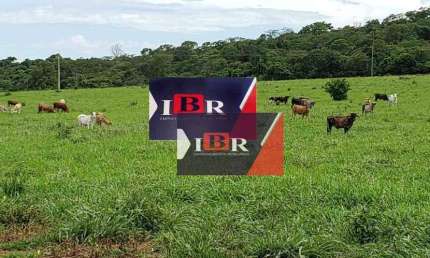 Fazenda à venda na Zona Rural, Terenos 