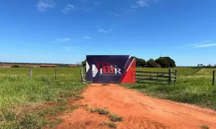 Fazenda à venda na Zona Rural, Anaurilândia 