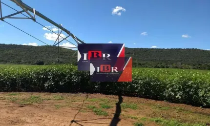 Fazenda à venda na Zona Rural, Manga 