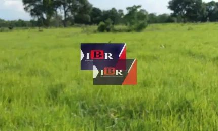 Fazenda à venda na Zona Rural, Miranda 