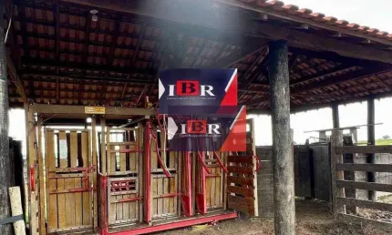 Fazenda à venda no Jardim Alvorada, São Gabriel do Oeste 