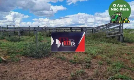 Fazenda à venda na Zona Rural, Mambaí 