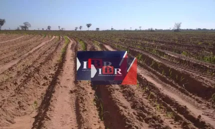 Fazenda à venda, 6582400 m² por r$ 38.000.000,00 - bela vista i - panorama/sp