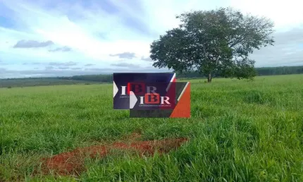 Fazenda à venda na Zona Rural, Dois Irmãos do Buriti 
