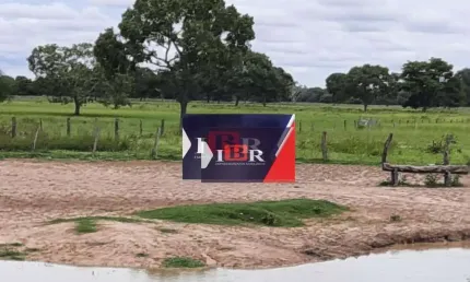 Fazenda à venda na Zona Rural, Ribas do Rio Pardo 