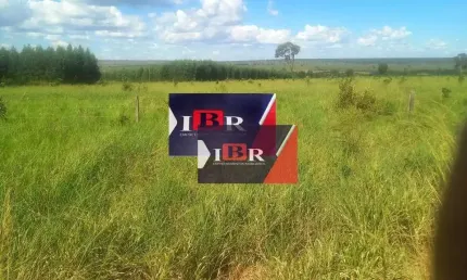 Fazenda à venda na Zona Rural, Anaurilândia 