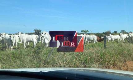 Fazenda à venda na Zona Rural, Água Clara 