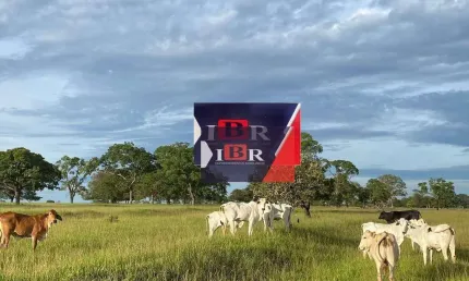 Fazenda à venda na Zona Rural, Inocência 
