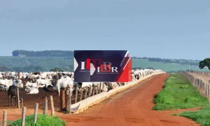 Fazenda à venda na Vila Nova, Paranatinga 