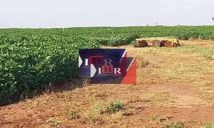 Fazenda à venda na Zona Rural, Campo Grande 