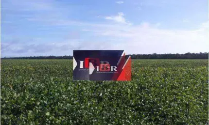 Fazenda à venda na Zona Rural, Nova Ubiratã 