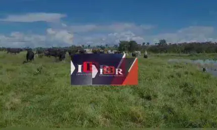 Fazenda à venda na Zona Rural, Alcinópolis 