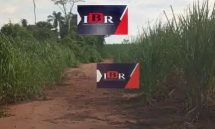 Chácara / sítio à venda na Zona Rural, Monte Aprazível 
