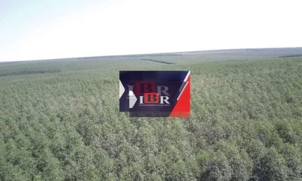 Fazenda à venda na Área Rural de Três Lagoas, Três Lagoas 