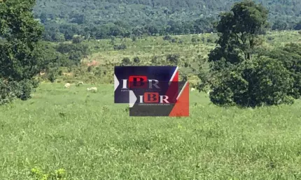 Fazenda à venda na Zona Rural, Santa Rita do Pardo 
