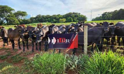 Fazenda à venda na Zona Rural, Aparecida do Taboado 