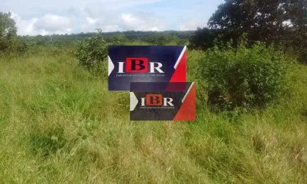 Fazenda à venda na Zona Rural, Camapuã 
