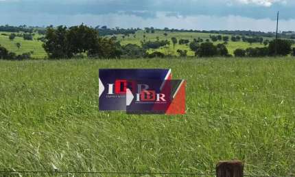 Fazenda à venda na Zona Rural, Paranaíba 