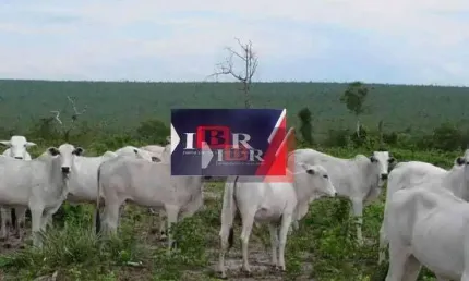 Fazenda à venda na Zona Rural, Reserva do Cabaçal 