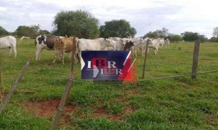 Fazenda à venda na Rua Domingos Marques dos Santos, Vila Dubus, Presidente Prudente