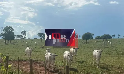 Fazenda à venda na Zona Rural, Paraíso das Águas 