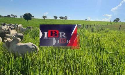 Fazenda à venda na Zona Rural, Pedro Gomes 