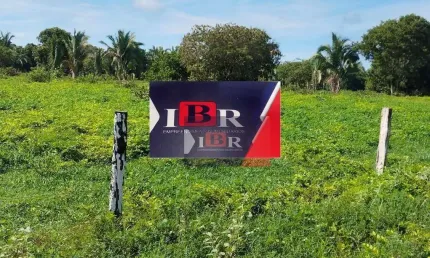 Fazenda à venda na Zona Rural, São Félix do Araguaia 