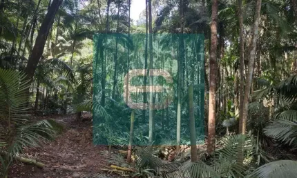 Chácara / sítio à venda na Rua vale do selke, 10, Vale do Selke Grande, Pomerode por R$ 210.000