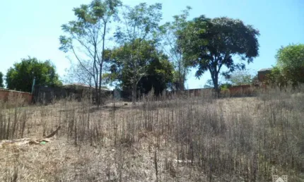 Terreno comercial para alugar no Olarias, Ponta Grossa 