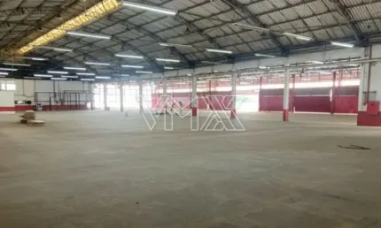 Barracão / Galpão / Depósito com 3 salas para alugar na Rua São Quirino, 862, Vila Guilherme, São Paulo