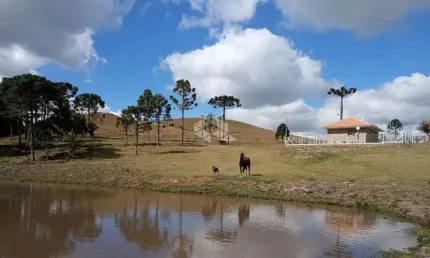 Fazenda com 2 dormitórios em são francisco de paula - rs, várzea do cedro à venda por r$ 2.460.000,00.
