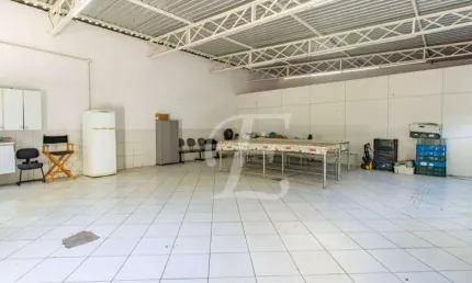 Galpão para alugar, 600m², Vila Ipojuca - São Paulo